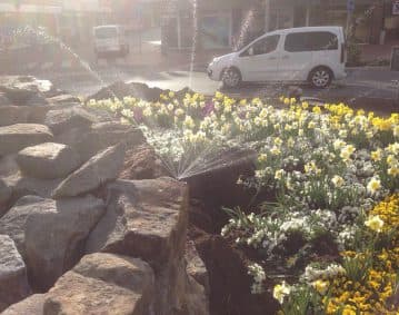 Privatgarten mit präziser Randbewässerung