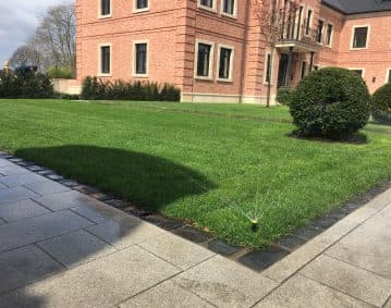 Pflegeleichte Anlage für großen Garten