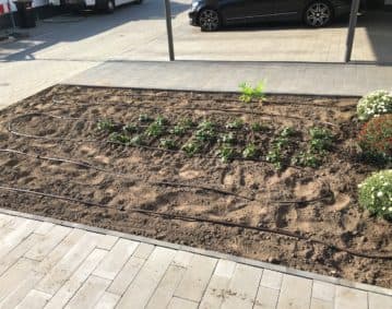 Privatgarten mit zonierter Steuerung