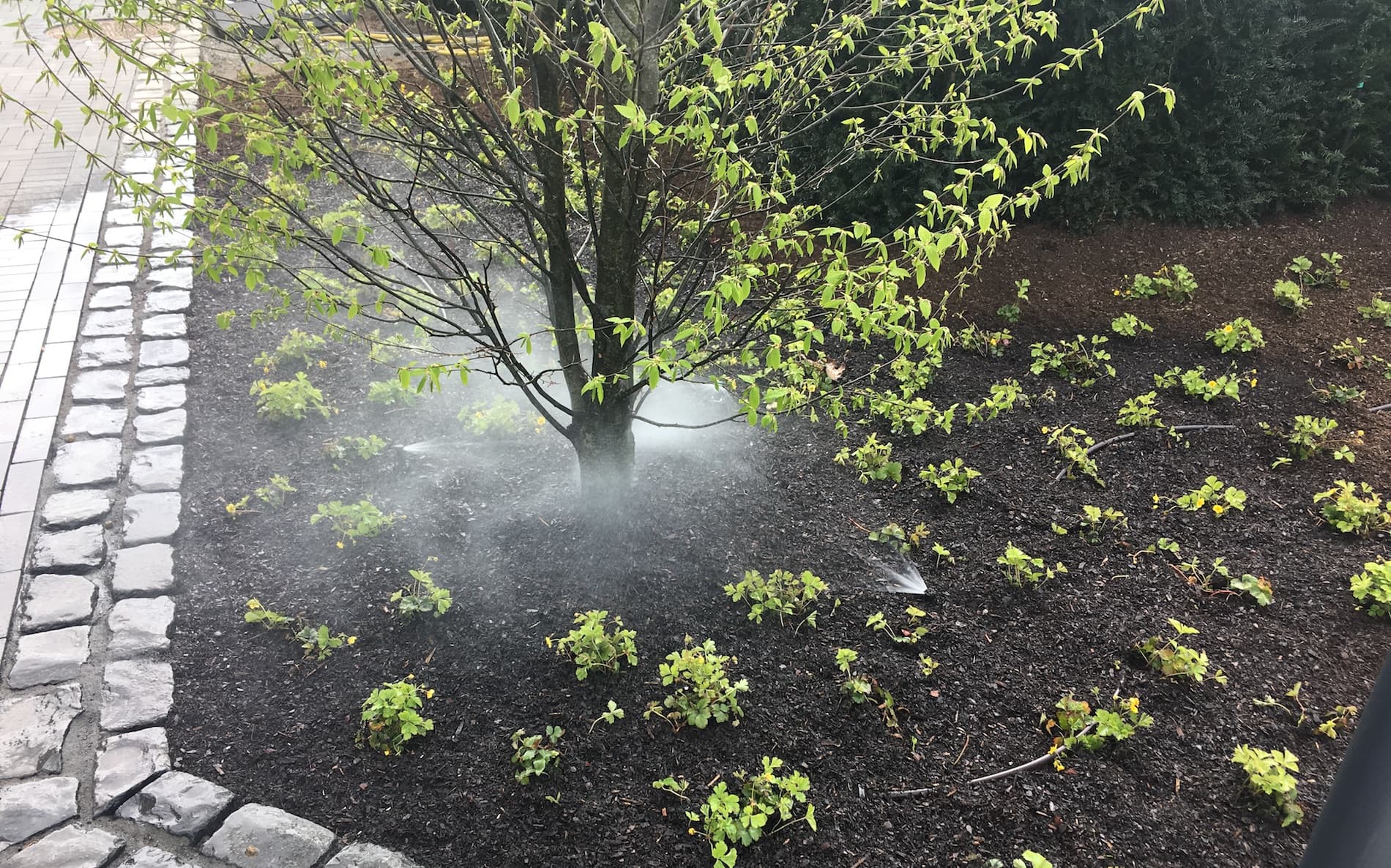 Beet- und Rasenbewässerung im Bestand